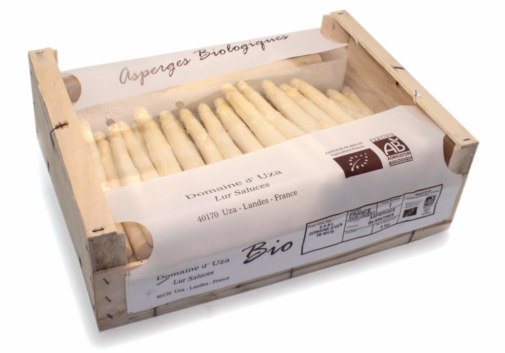 asperges bio UZA asperges bio UZA